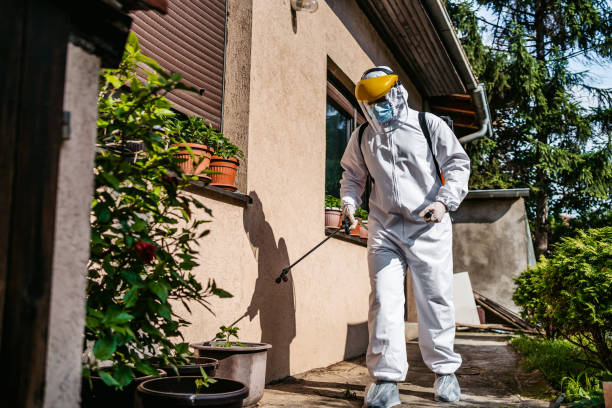 Best Pest Prevention Services  in Hutchinson, KS