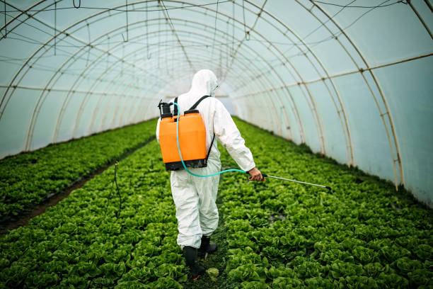 Best Affordable Exterminators  in Hutchinson, KS