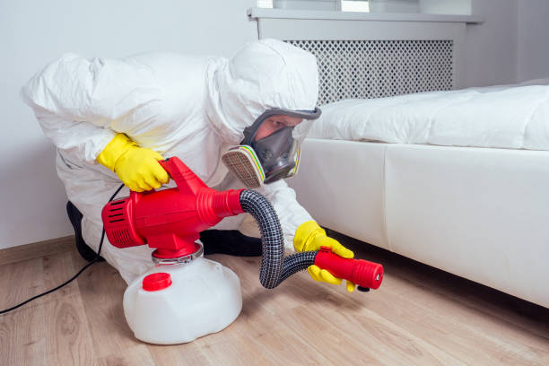 Best Cockroach Control Services  in Hutchinson, KS