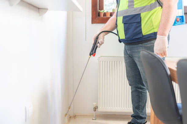 Wasp Removal Services in Hutchinson, KS