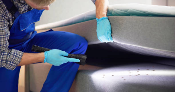 Best Commercial Pest Control Services  in Hutchinson, KS
