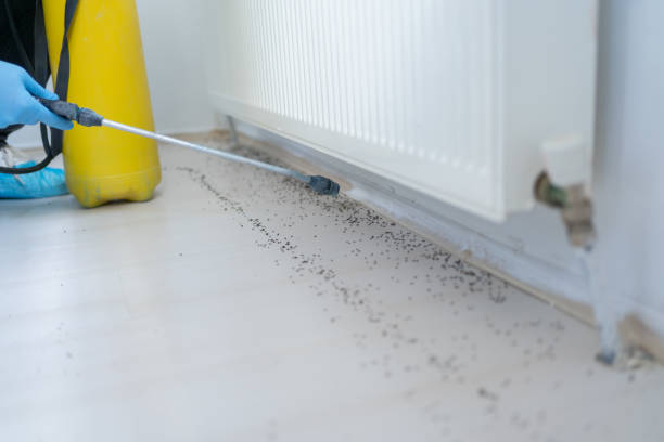 Best Bed Bug Extermination  in Hutchinson, KS